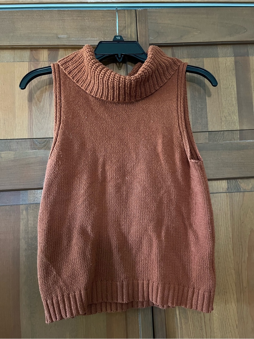 Wild Honey Sleeveless Cowl Neck Sweater in Rust